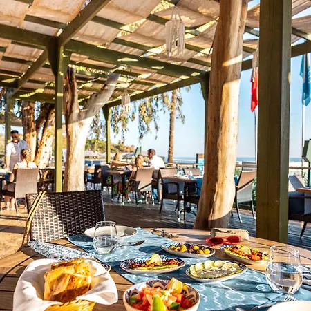 Tui Blue Pascha Bay Hotel