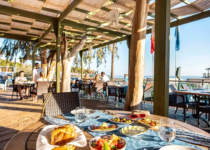 Tui Blue Pascha Bay מלון